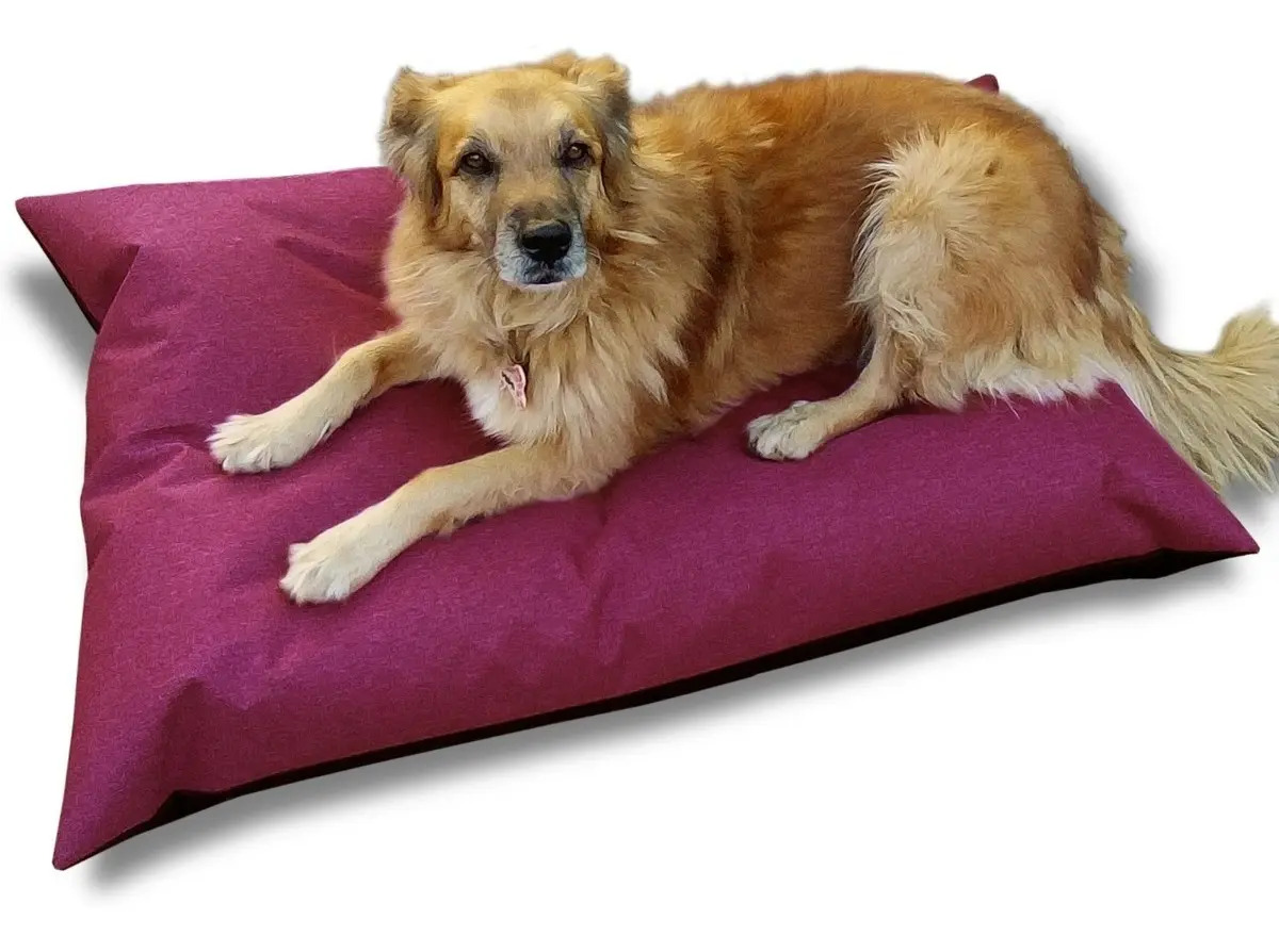 Cama Para Perros Antidesgarro 100x70 Impermeables Mercado