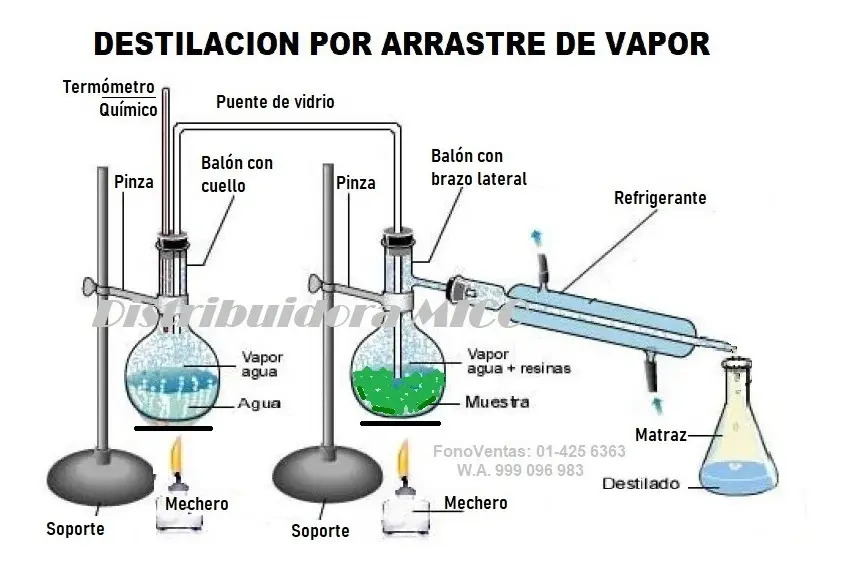 Equipo Destilación Por Arrastre Vapor Nuevo Extraer Aceite Mercado Libre