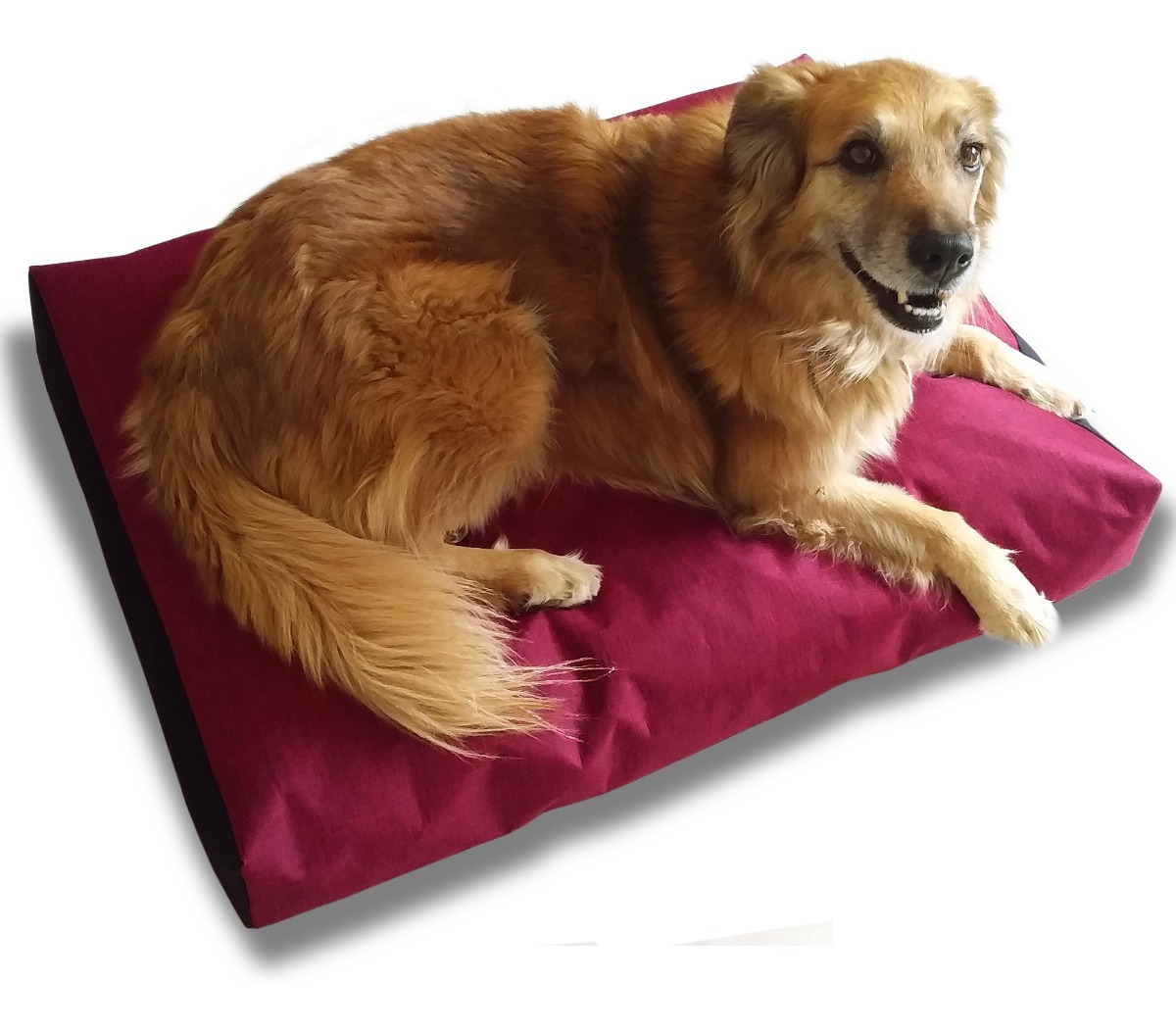 Colchón Cama Perro Antidesgarro Impermeable 80x60x12 Lavable Mercado