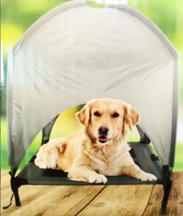 Cama Alta Con Techo Para Perros Chicos Y Medianos 20 Kilos Meses sin