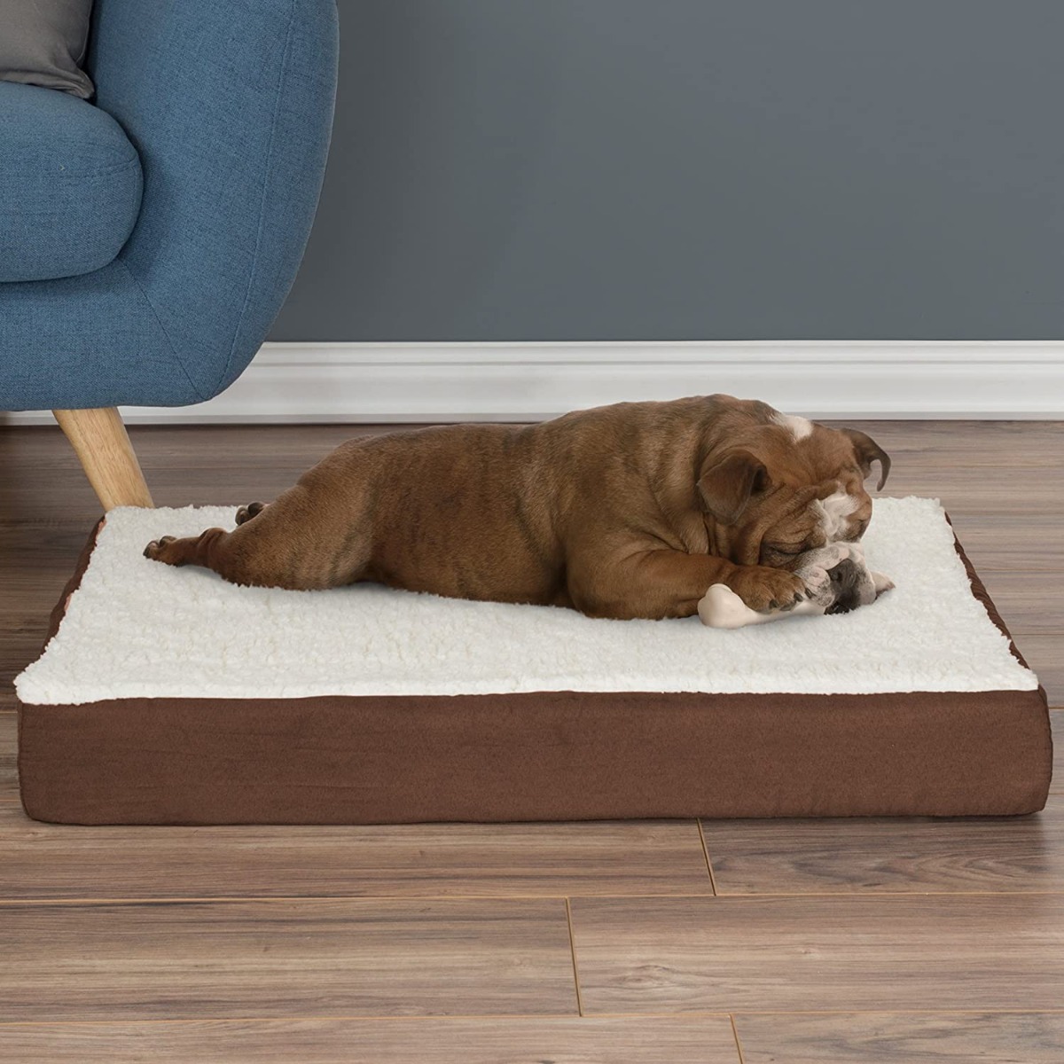 Cama Para Perro Petmaker Orthopedic Memory Foam Mediana Mercado Libre