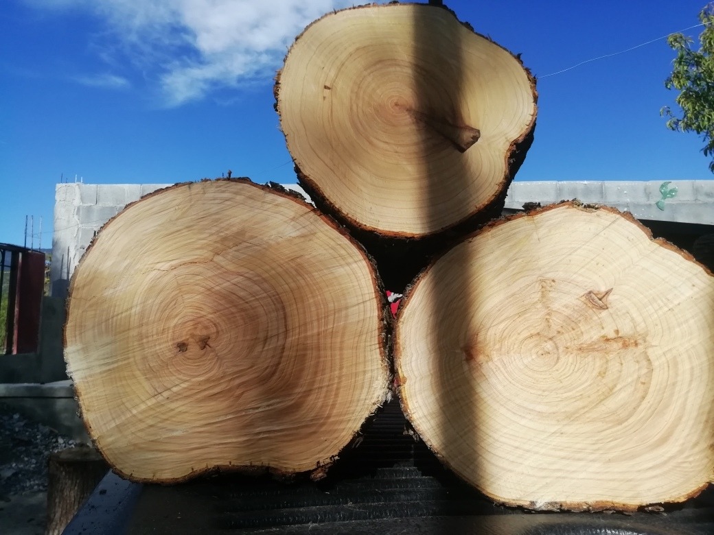 Tronco De Madera Medida De 20 A 25 De Diámetro X 30 De Largo Mercado