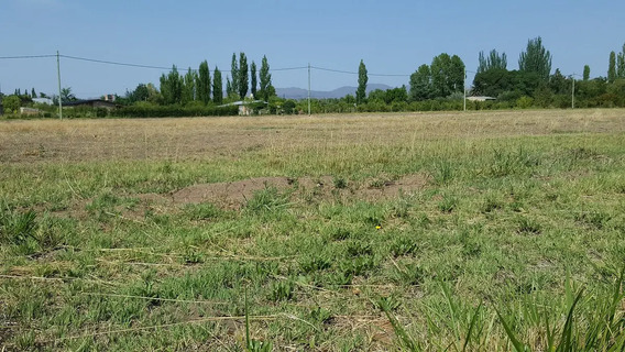 Terrenos Y Lotes En Mendoza | Mercadolibre.com.ar