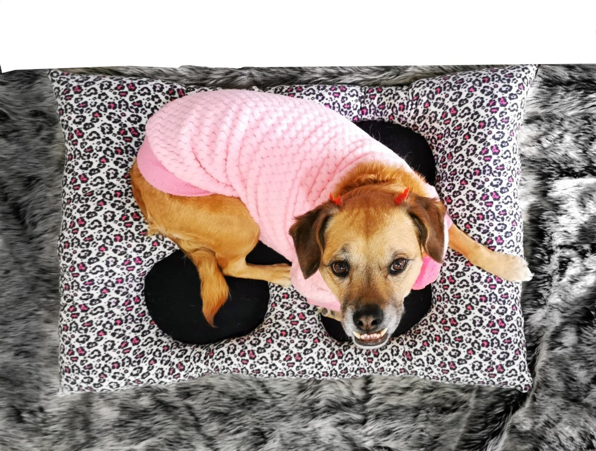 Cama Para Perro Talla L Razas Medianas Lavable YAMPets