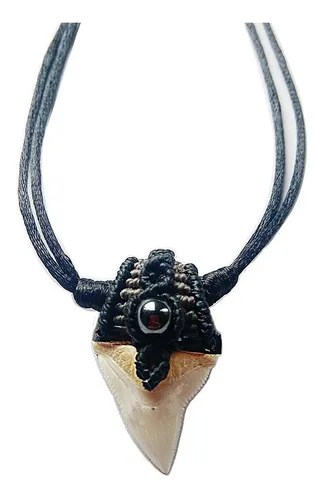 Collar Diente Tiburón | Mercadolibre