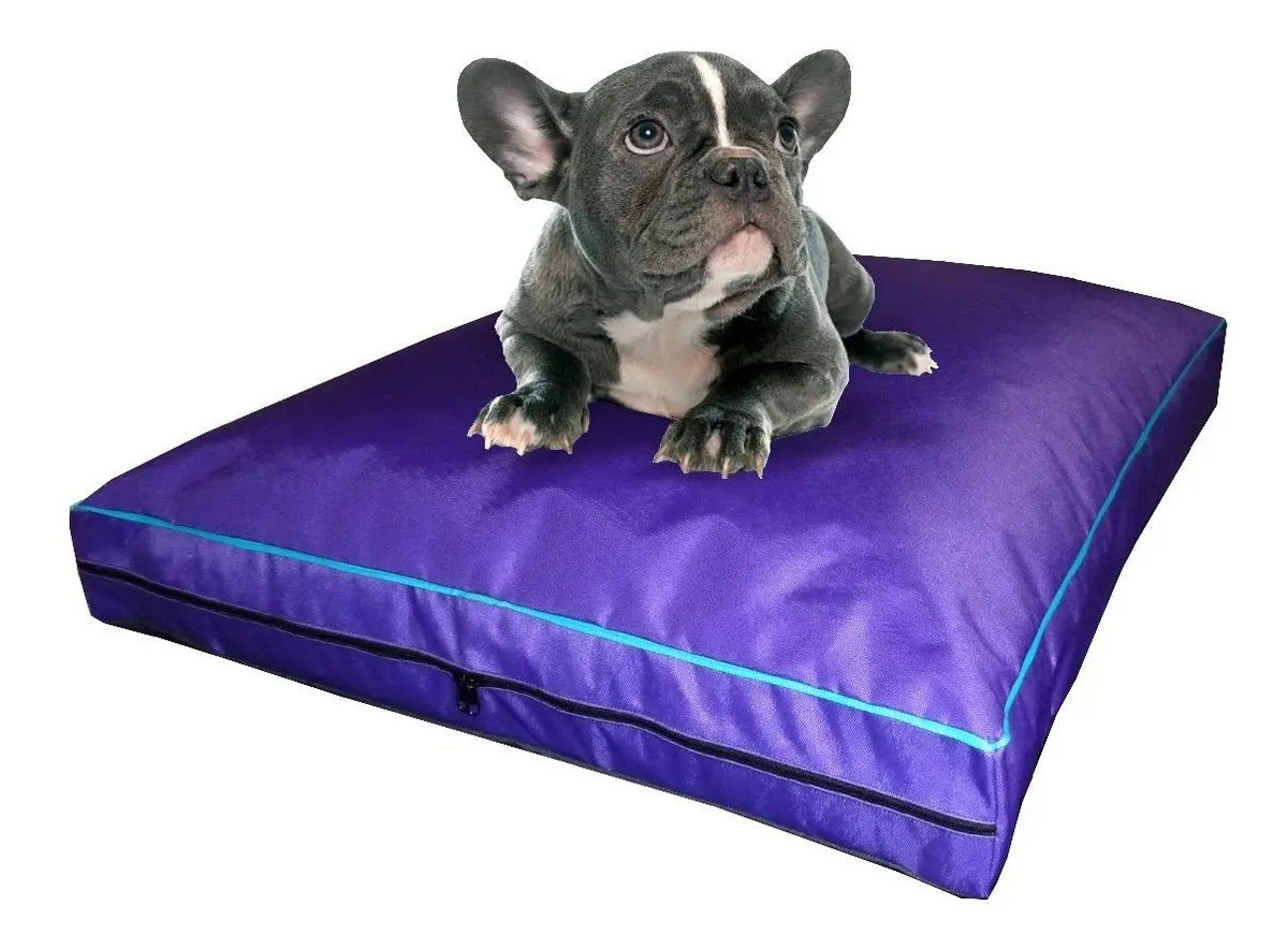 Colchon Liso Antidesgarro 70x50x8 Cm Cama Para Perro Mascota MercadoLibre