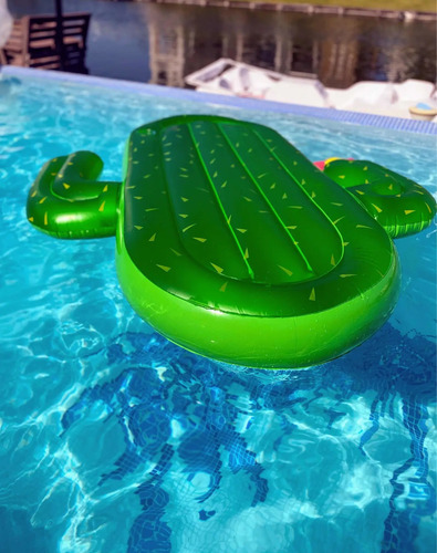 Cactus Flotador Inflable Gigante Para Pileta | Cuotas Sin Interés