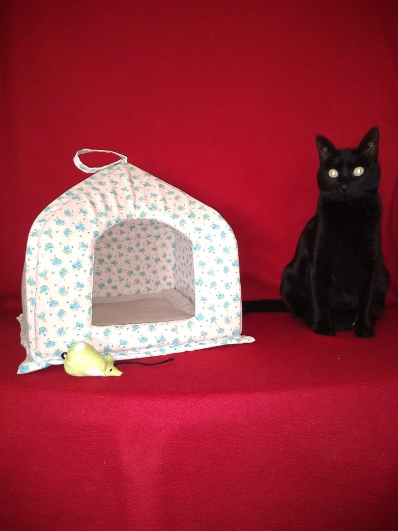 Cucha Para Gatos Casas Para Mascotas Iglu Para Gatos Mercado Libre