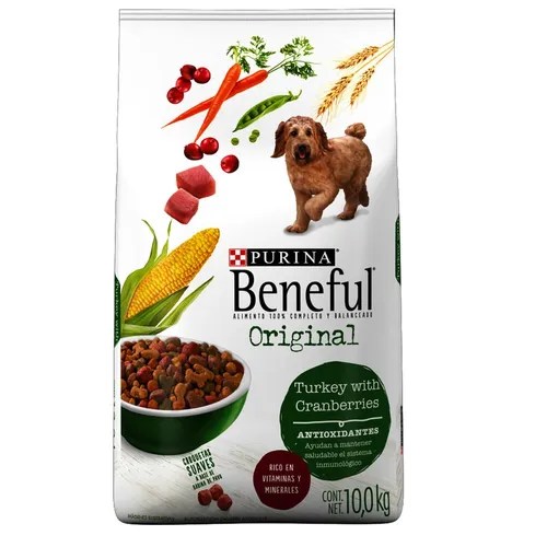 Alimento Para Perro Purina Beneful Original Croquetas 10,0kg Meses