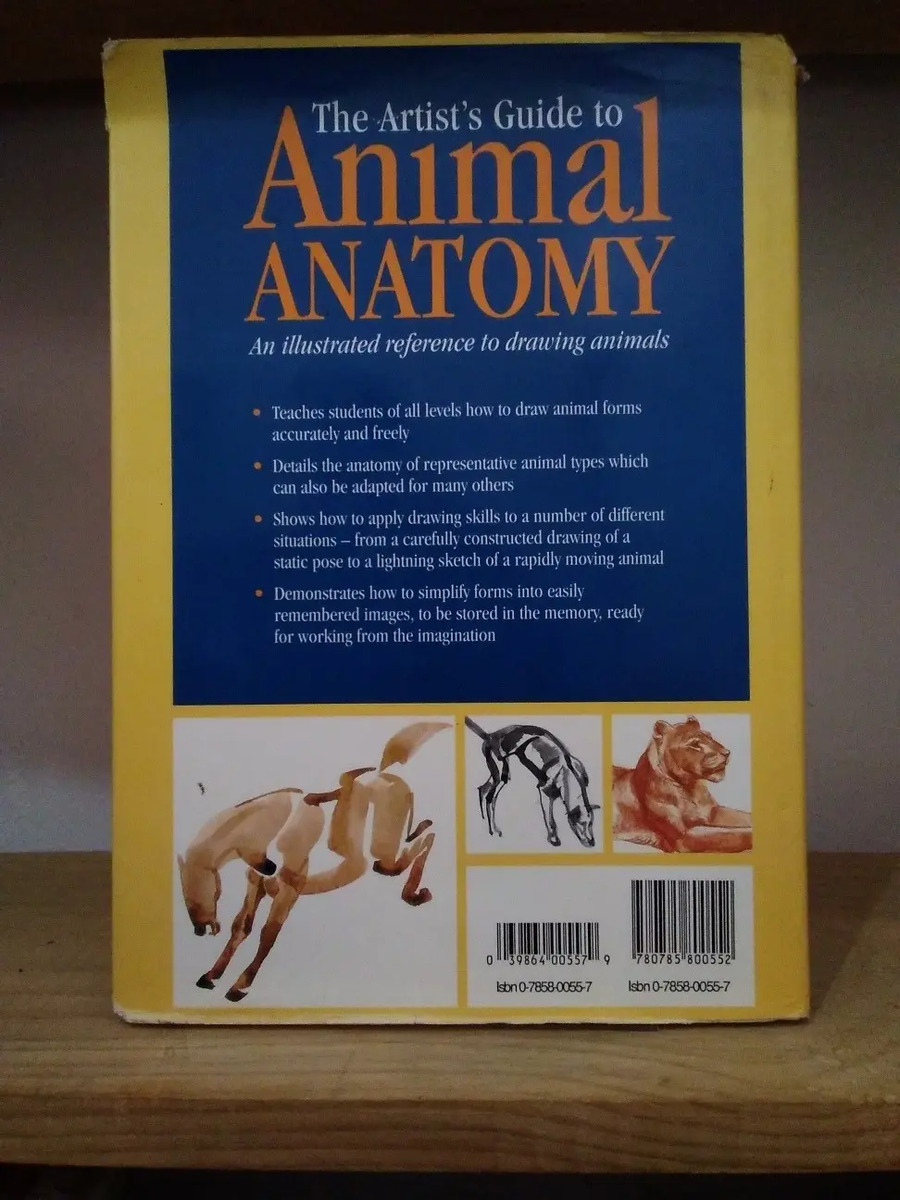 The Artist's Guide To Animal Anatomy. Gottfried Bammes.[cun] Mercado