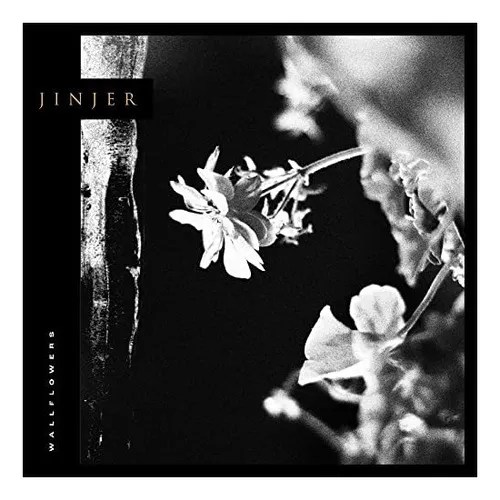 Cd Wallflowers Meses sin interés