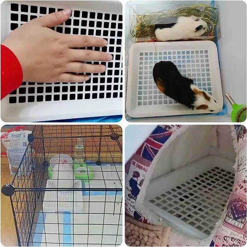 Guinea Pig Litter Pan With Grate, Small Animal Litter Box Fo Envío gratis