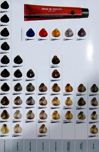 Carta De Colores Tintura Anna De Sanctis Salón Profesional | Mercadolibre