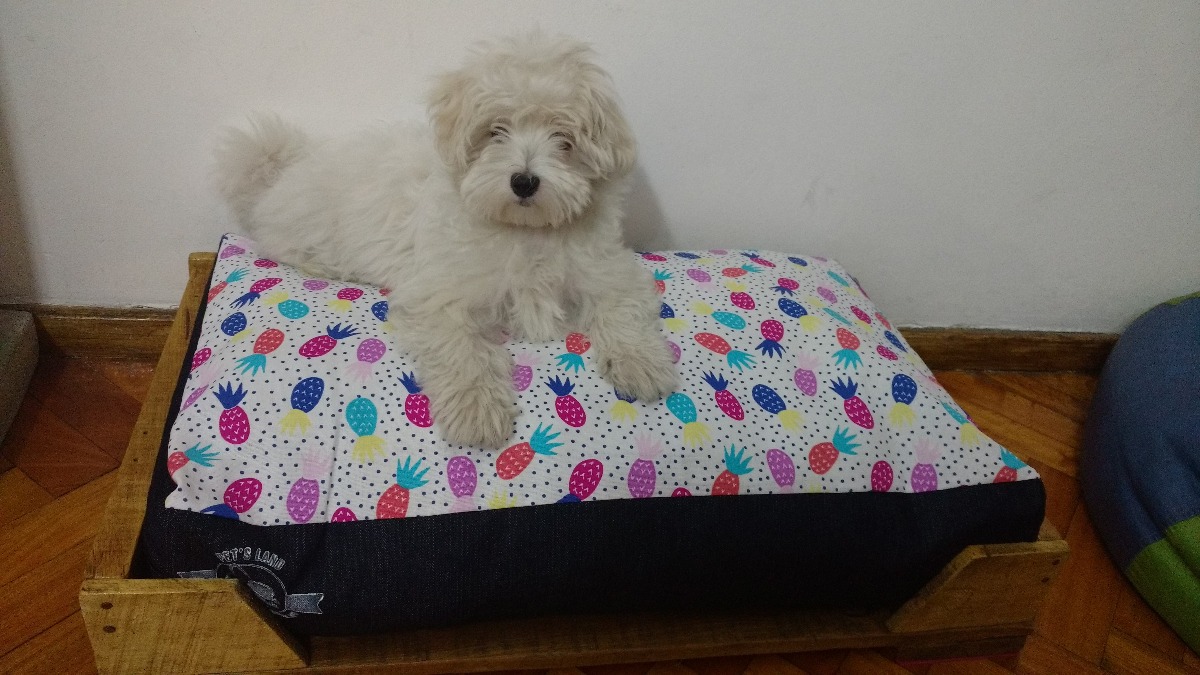 Camitas / Colchoncitos Para Perros Y Gatos (50 X 70 X 10) Mercado Libre
