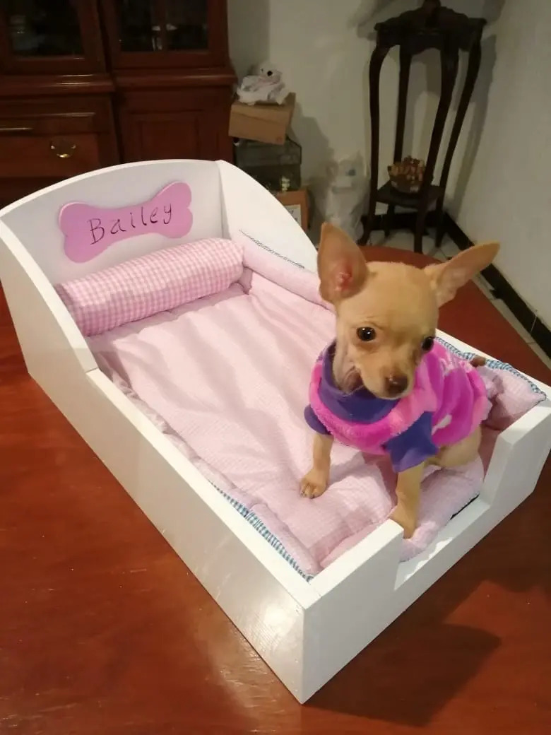 Cama Miniatura De Lujo Para Perros / Mascotas Envío gratis