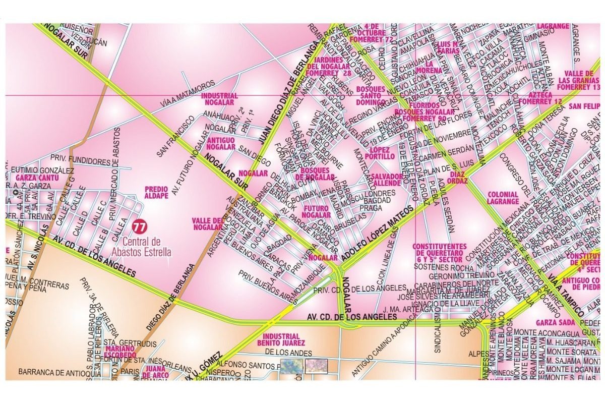 Mapa De Monterrey Zona Conurbada Mural Gigante Plastificado Meses sin