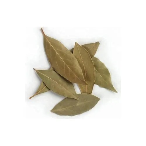 Hojas De Guanábana Delivery Todo Lima Provincias Bcp Yape Cuotas sin