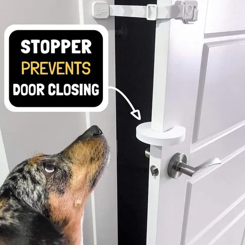 Door Buddy Door Latch Plus Door Stopper. Keep Dog Out Of Lit Envío gratis