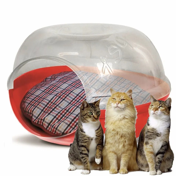 Camas Para Perros Y Gatos en Mercado Libre México