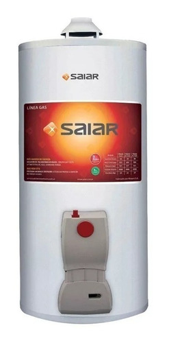 Termotanque Saiar 50 Lts Multigas Inferior De Colgar Cuotas | Cuotas Sin Interés