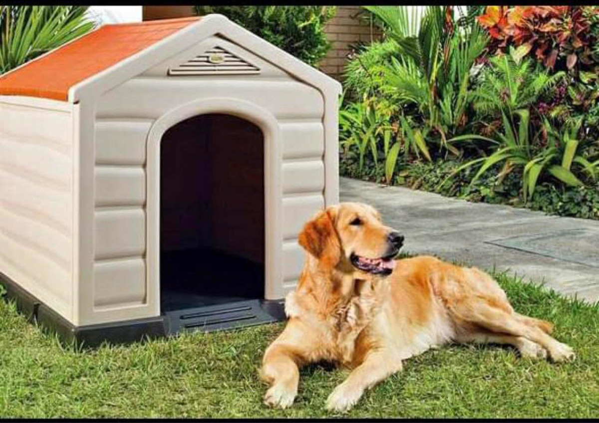 Casa Para Perro Mercado Libre