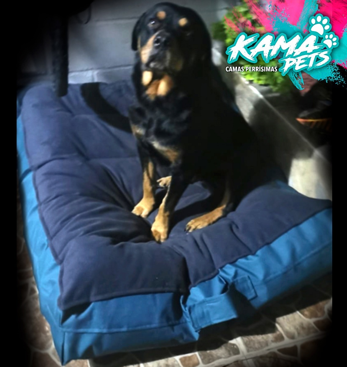 Camas Para Perros Resistentes Impermeables Lavables Mercado Libre