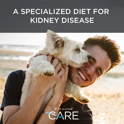 Diamond Care Renal Rx Formula Cuidado Enfermedad Riñon 8 Lb Alimento Perro Adulto Todos Los