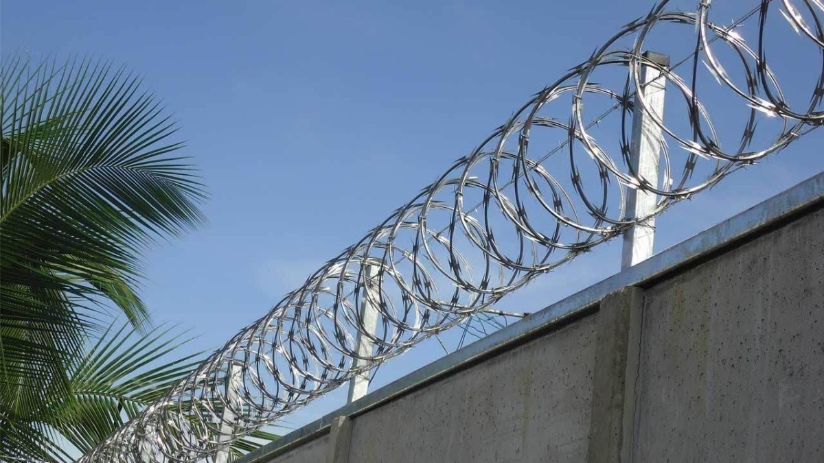 Púa Concertina Arpón, Seguridad Extrema 45cm Meses sin intereses