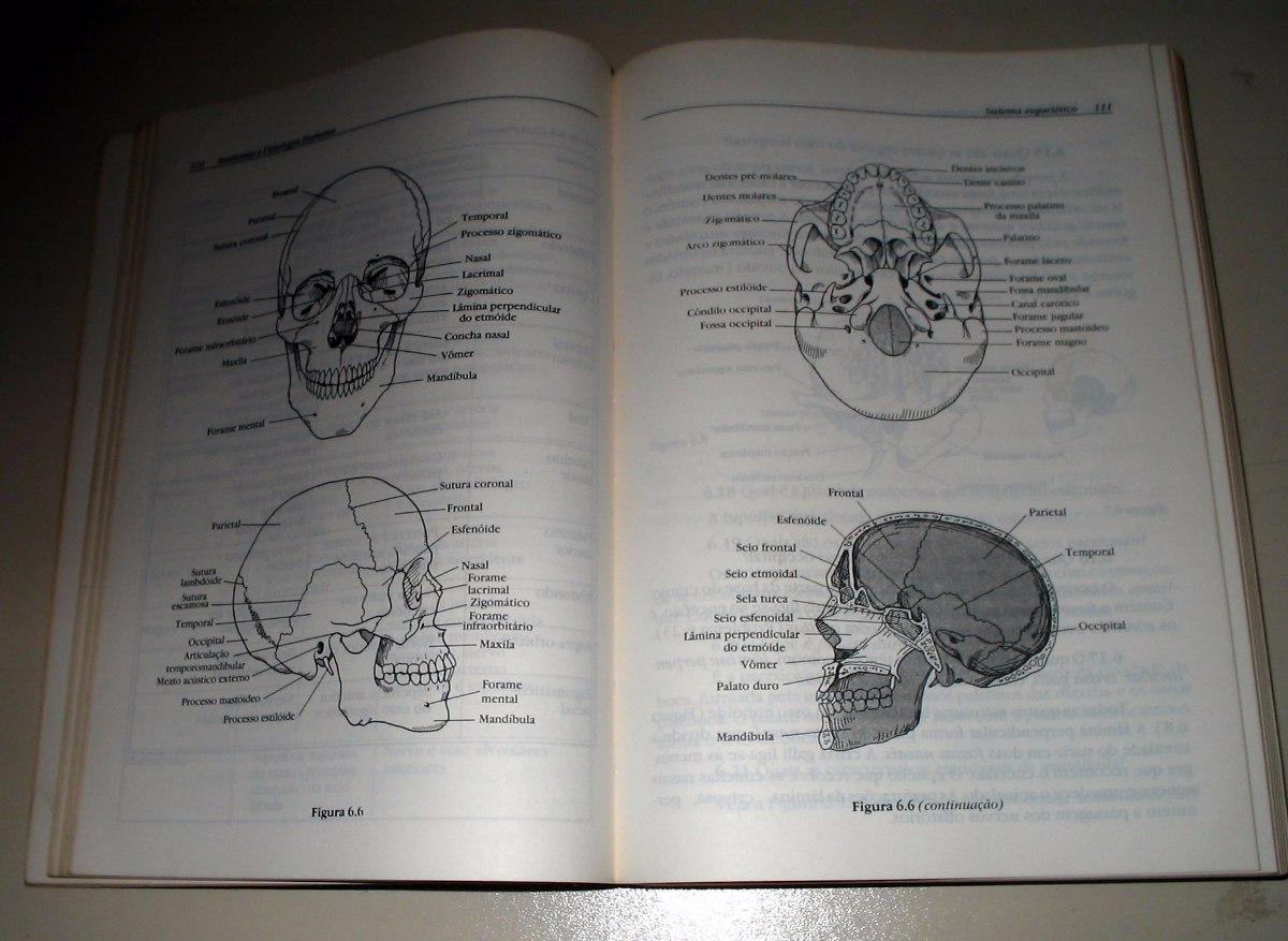 Anatomia E Fisiologia Humana Kent M. Van De Graaff Rhees