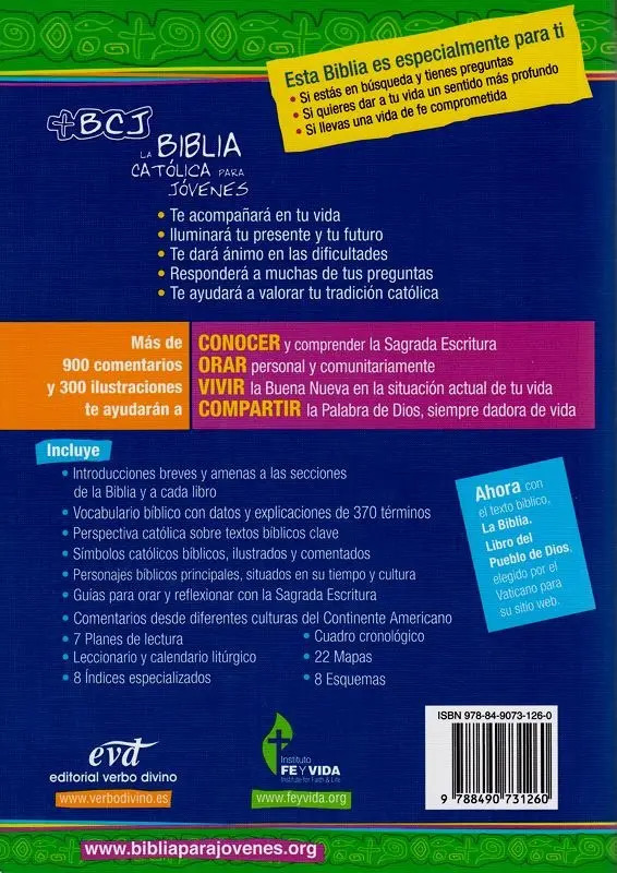 Biblia Catolica Para Jovenes Rustica Tamaño Junior Mercado Libre