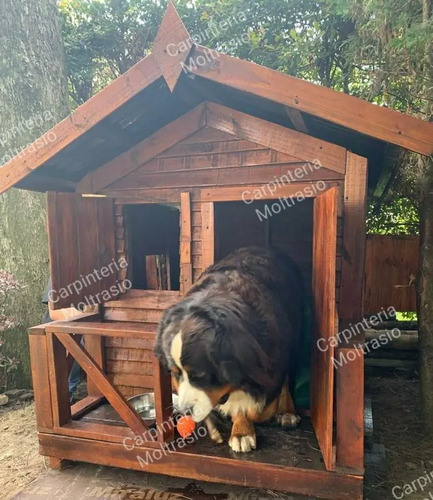 Casita Para Perro - Cucha En Madera Modelo Premium | Mercadolibre