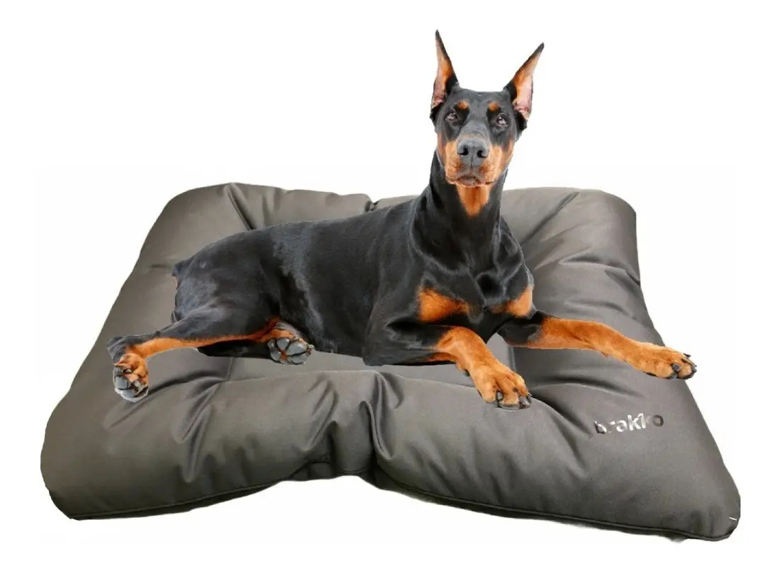 Colchón Almohadon Cama Impermeable Brakko Extreme Xl Perros Envío gratis