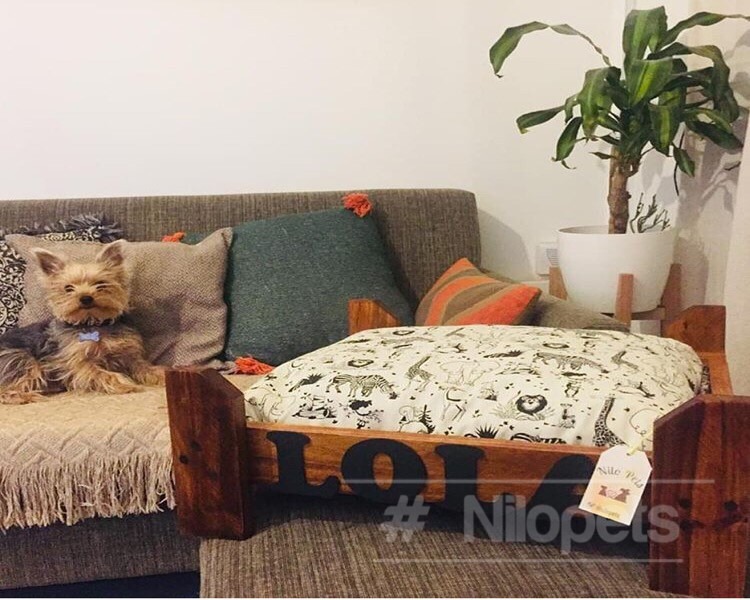 Cama Para Mascotas (70 X 50 Cm) + Colchon Premiun + Nombre Mercado Libre