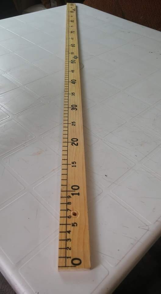 Metro De Madera 100cm Meses sin intereses