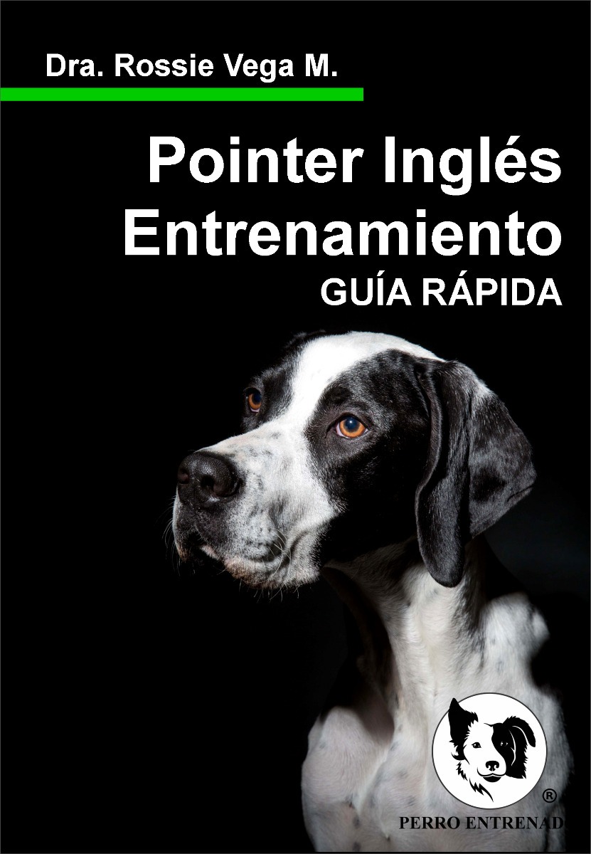Guia Pointer Ingles Entrenamiento Canino Cognitivo Emocional Mercado