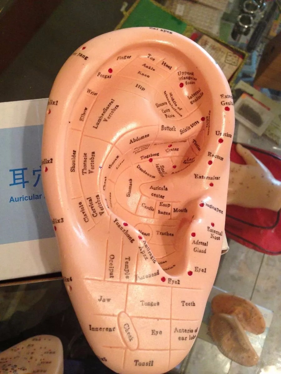 Set De Oreja 17 Cm Auri ,150 Balines Y Aceite Escencial Envío gratis