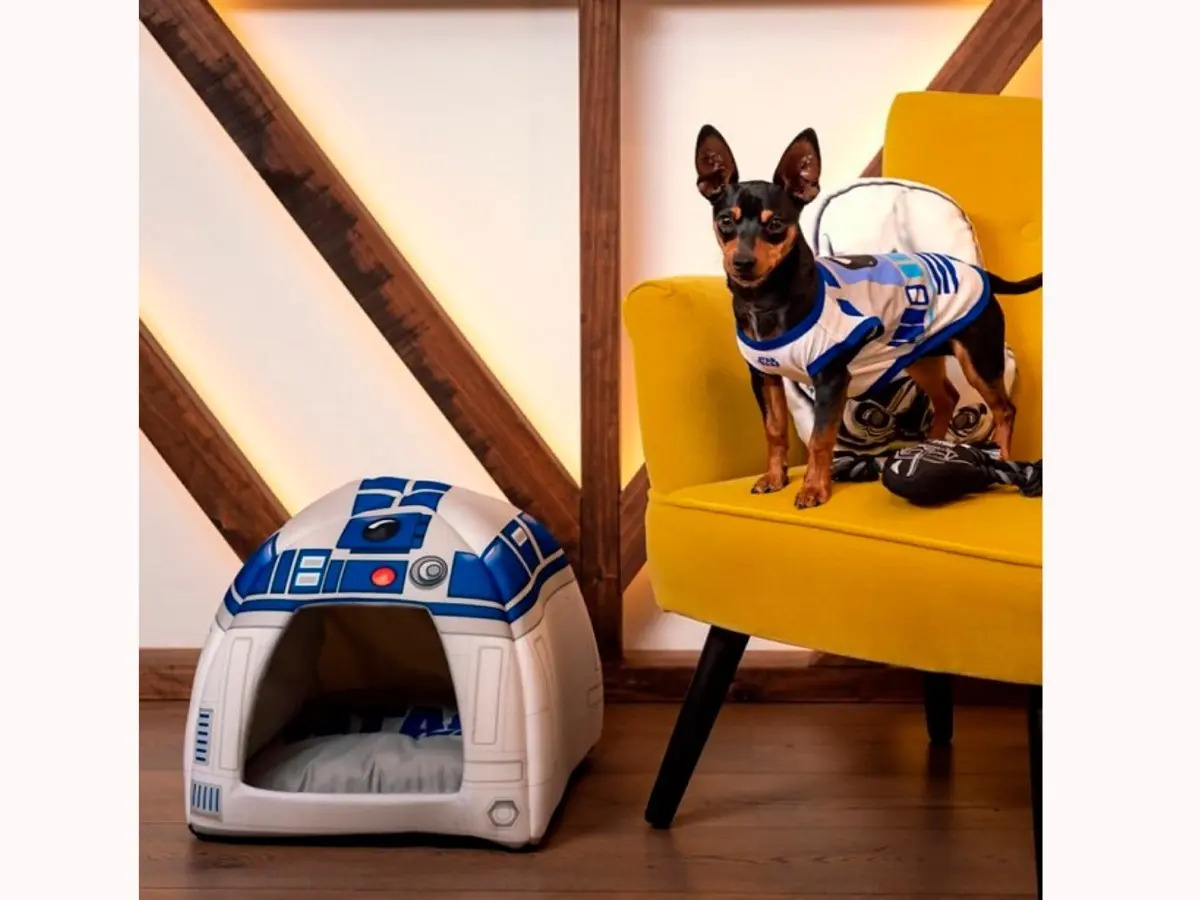 Cama Igloo Star Wars R2d2 Para Perros Y Gatos Envío gratis
