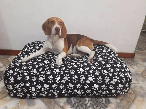 Colchon Cama Puff Para Perros Impermeable Lavable 130x80x15 Mercado Libre