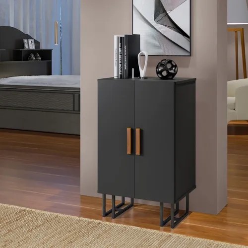 Armario, organizador o zapatero Closet Premium, color negro y negro