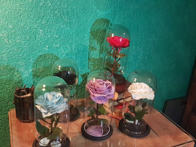 Deco Art Eventos Graduacion Jardin De Ninos Jose Antonio Adame