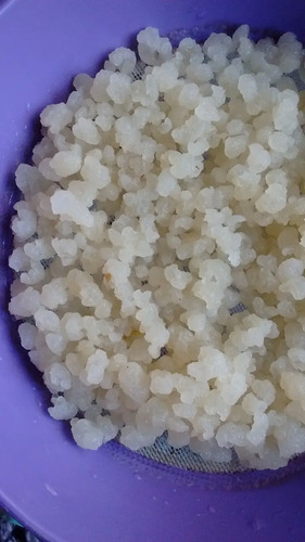 Nódulos De Kéfir De Agua Deshidratados | Mercadolibre