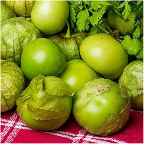 Sementes Tomatillo Mexicano Verde Physalis Ixocarpa P/ Mudas Parcelamento sem juros