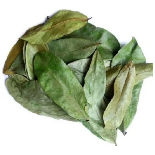 Guanabana Hojas Deshidratadas Té 50 Gramos Orgánico en venta en