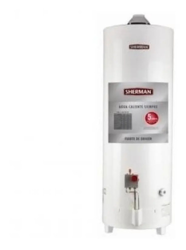 Termotanque Sherman 120 Litros A Gas De Pie Superior | Cuotas Sin Interés