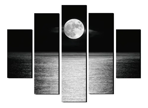 Cuadro Decorativo Luna Llena Blanco Y Negro | Cuotas Sin Interés
