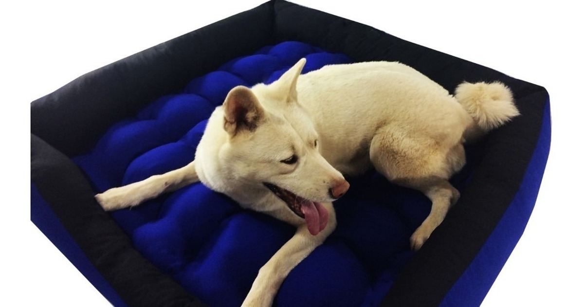 Cama Para Cachorros Grandes 90x90cm Vai Fundo Impermeável Mercado Livre