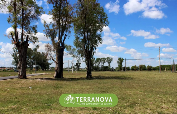 Campo Peso Barato | Mercadolibre 📦