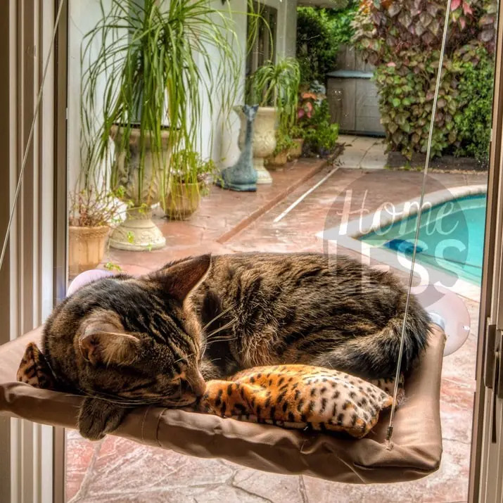 Cama Colgante De Ventana Para Gatos Sunny Seat Mercado Libre
