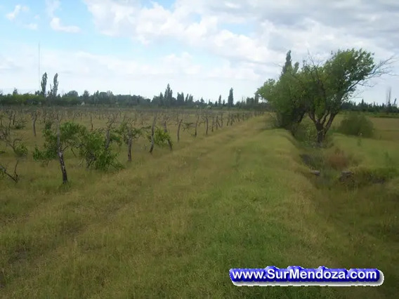 Terrenos Lotes Venta Mendoza General Alvear Bowen | Mercadolibre.com.ar