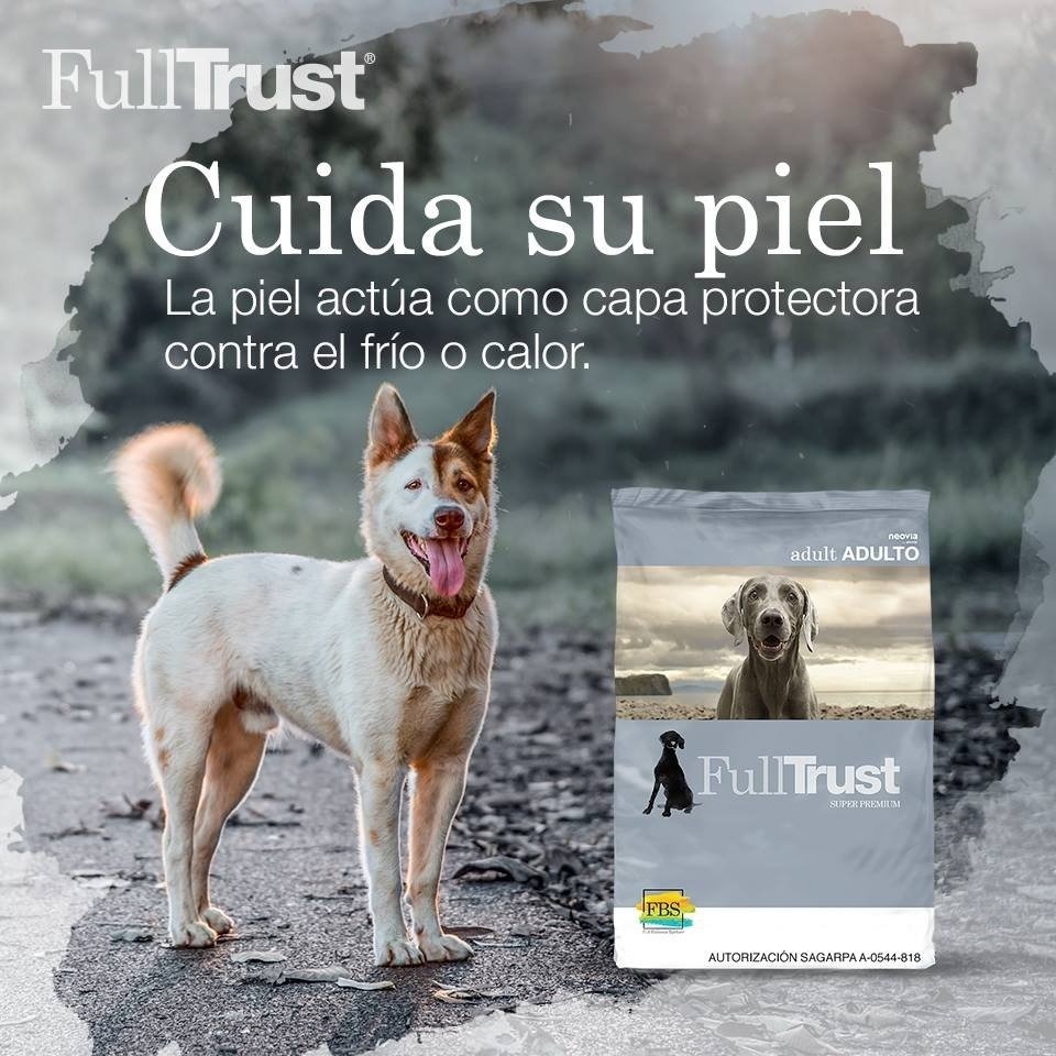 Fulltrust Croquetas Para Perro Adulto 2 Kg Mercado Libre